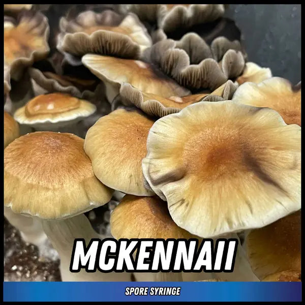 McKennaii Spore Syringes