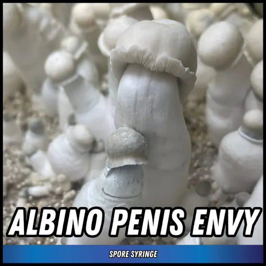 Albino Penis Envy Spore Syringes