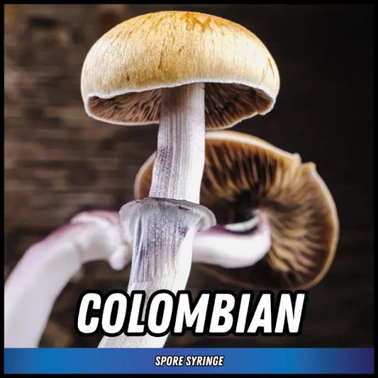Colombian Spore Syringes