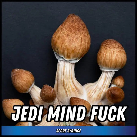 Jedi Mind Fuck Spore Syringes
