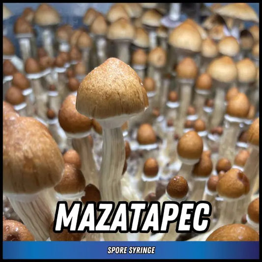 Mazatapec Spore Syringes