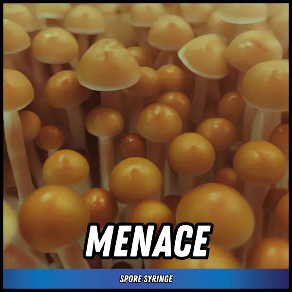 Menace Spore Syringes