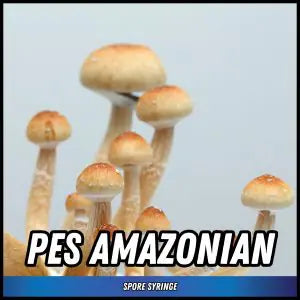 PES Amazonian Spore Syringes