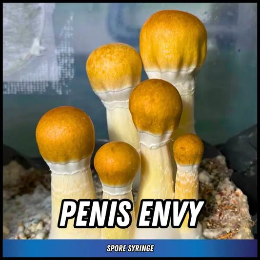 Penis Envy Spore Syringes